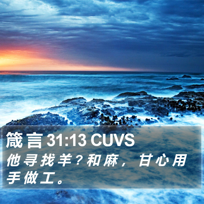 箴 言 31:13 CUVS Bible Study