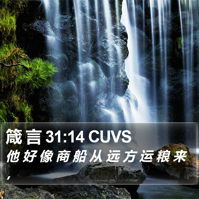 箴 言 31:14 CUVS Bible Study