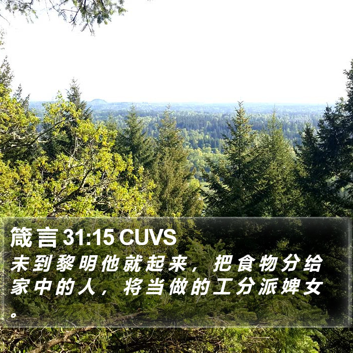 箴 言 31:15 CUVS Bible Study