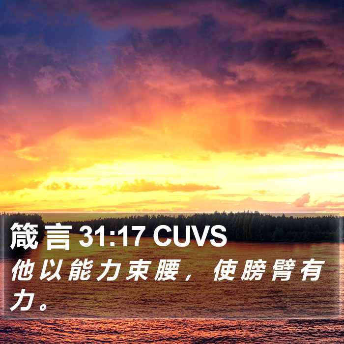 箴 言 31:17 CUVS Bible Study