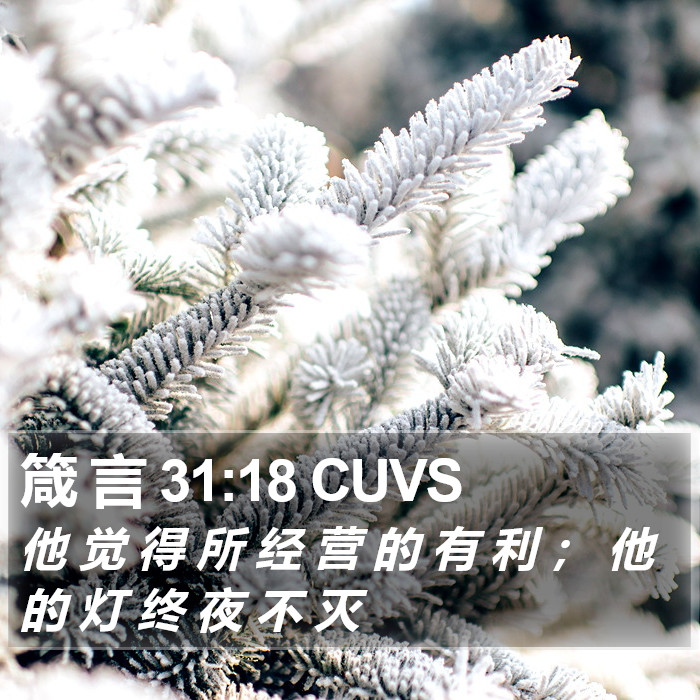 箴 言 31:18 CUVS Bible Study