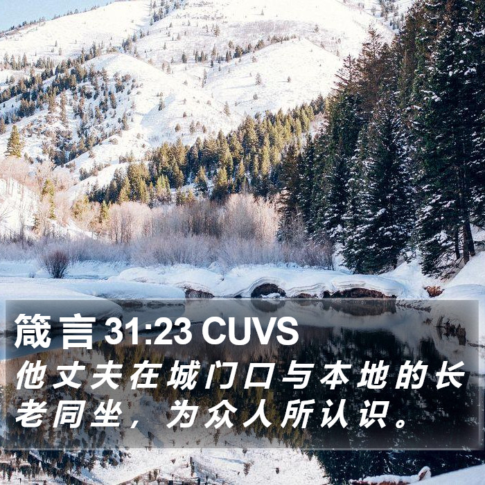 箴 言 31:23 CUVS Bible Study