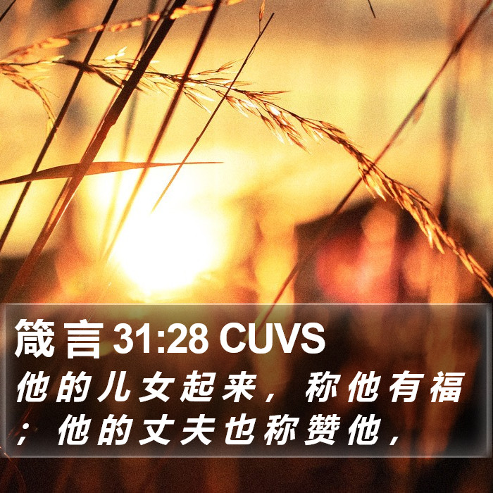 箴 言 31:28 CUVS Bible Study