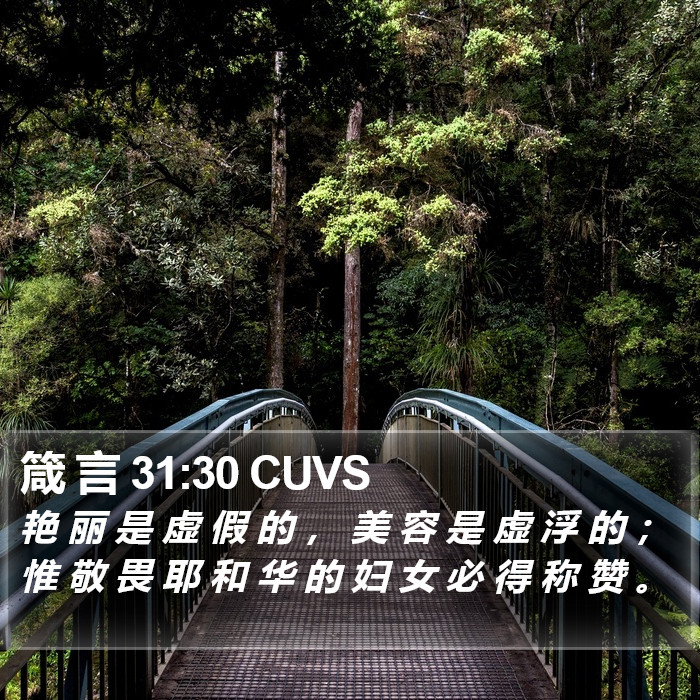 箴 言 31:30 CUVS Bible Study