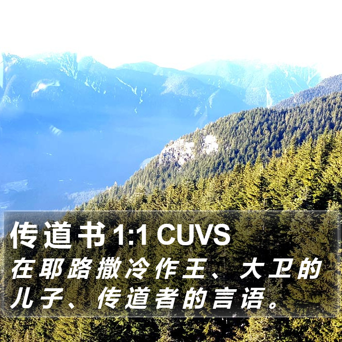 传 道 书 1:1 CUVS Bible Study