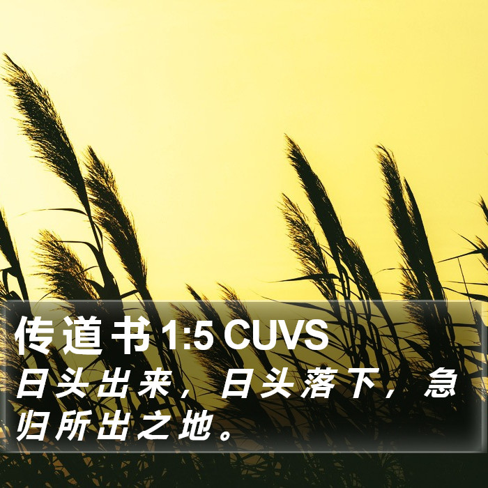 传 道 书 1:5 CUVS Bible Study