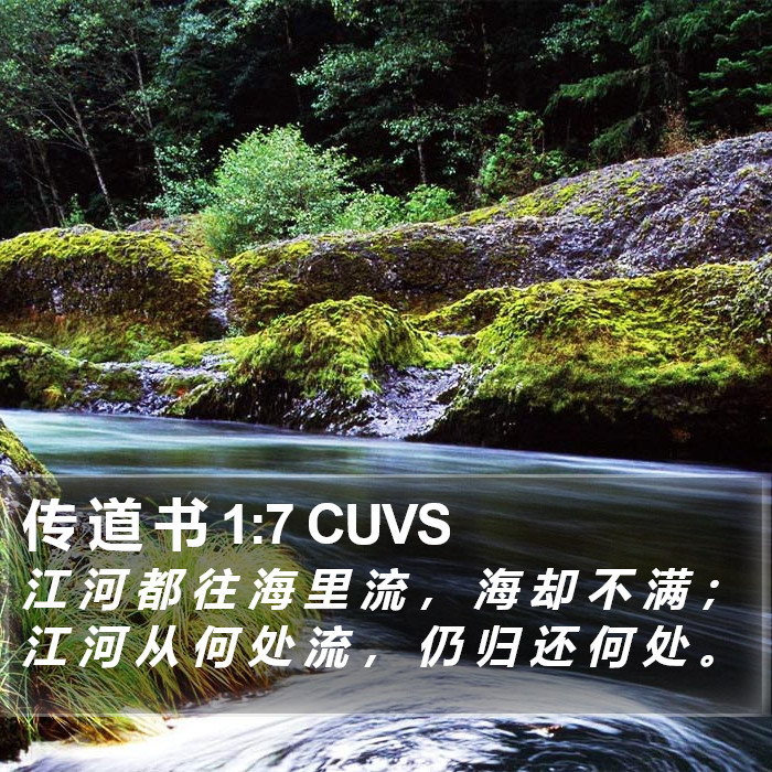 传 道 书 1:7 CUVS Bible Study