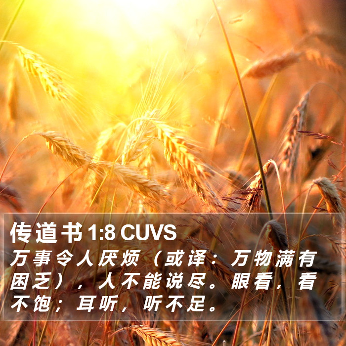 传 道 书 1:8 CUVS Bible Study