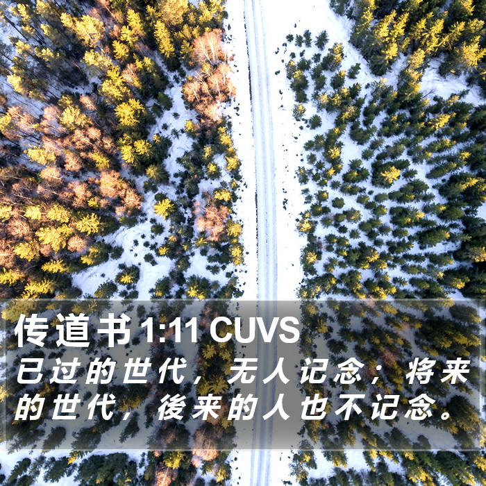 传 道 书 1:11 CUVS Bible Study