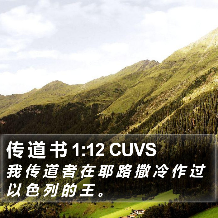 传 道 书 1:12 CUVS Bible Study