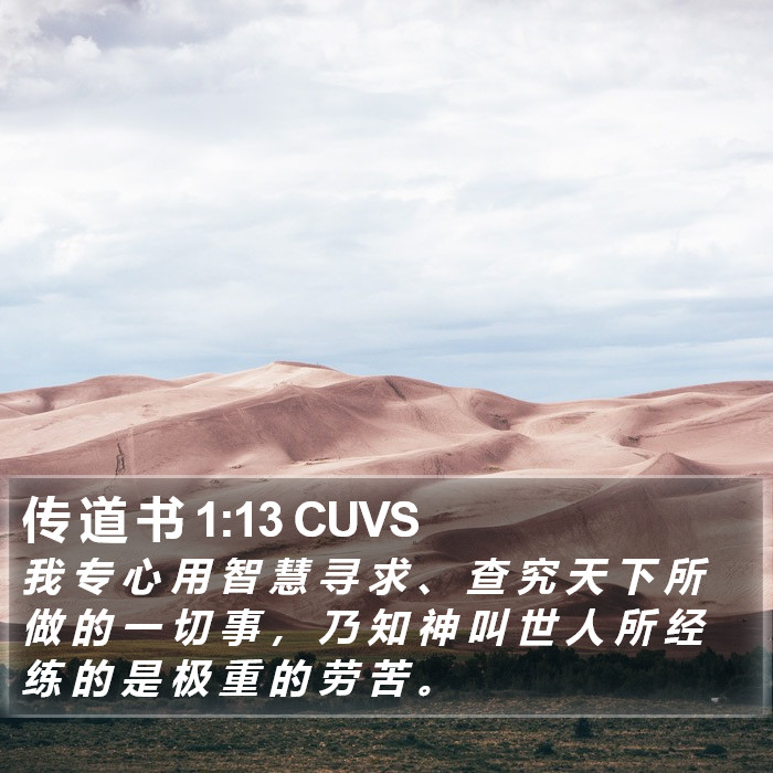 传 道 书 1:13 CUVS Bible Study