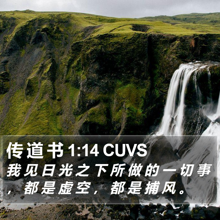 传 道 书 1:14 CUVS Bible Study