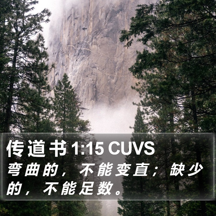 传 道 书 1:15 CUVS Bible Study