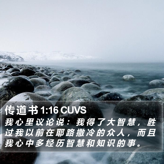 传 道 书 1:16 CUVS Bible Study