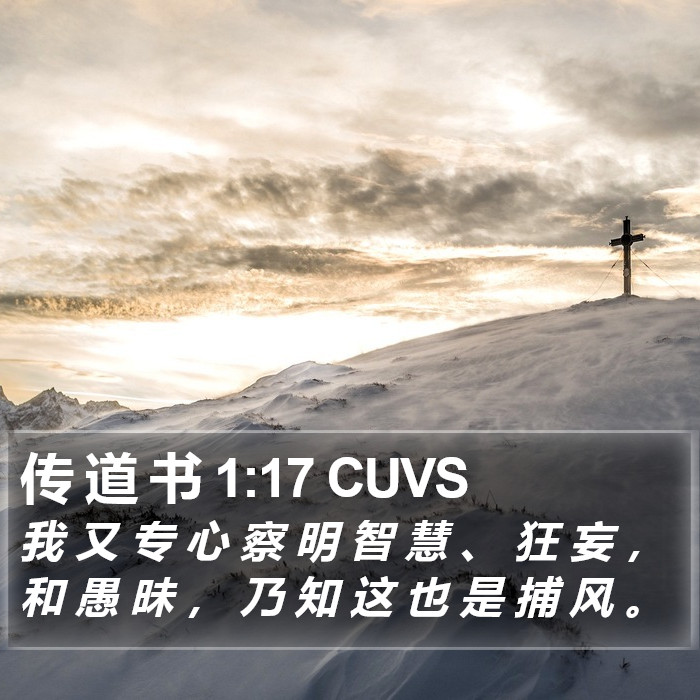 传 道 书 1:17 CUVS Bible Study