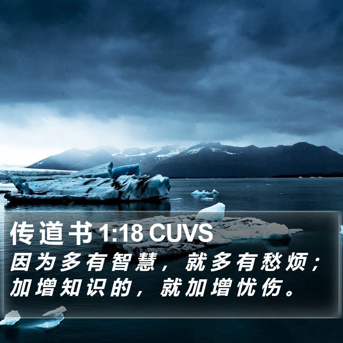 传 道 书 1:18 CUVS Bible Study