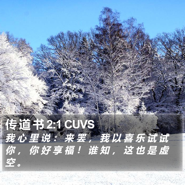 传 道 书 2:1 CUVS Bible Study