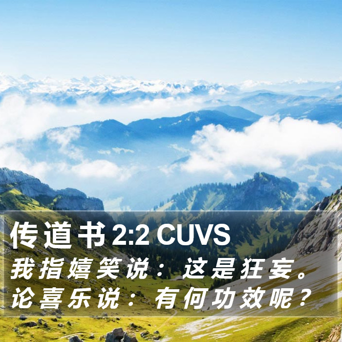 传 道 书 2:2 CUVS Bible Study