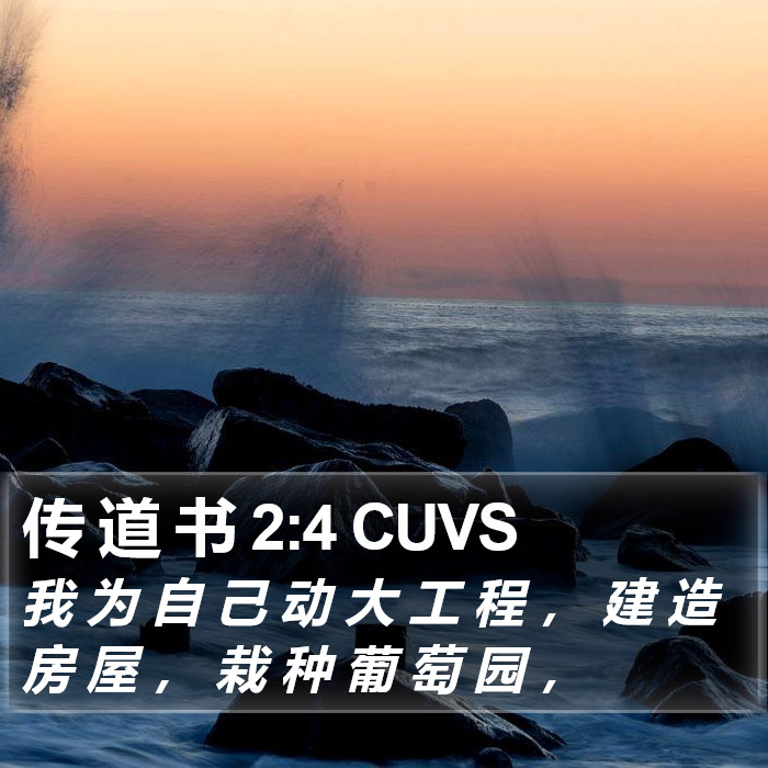 传 道 书 2:4 CUVS Bible Study