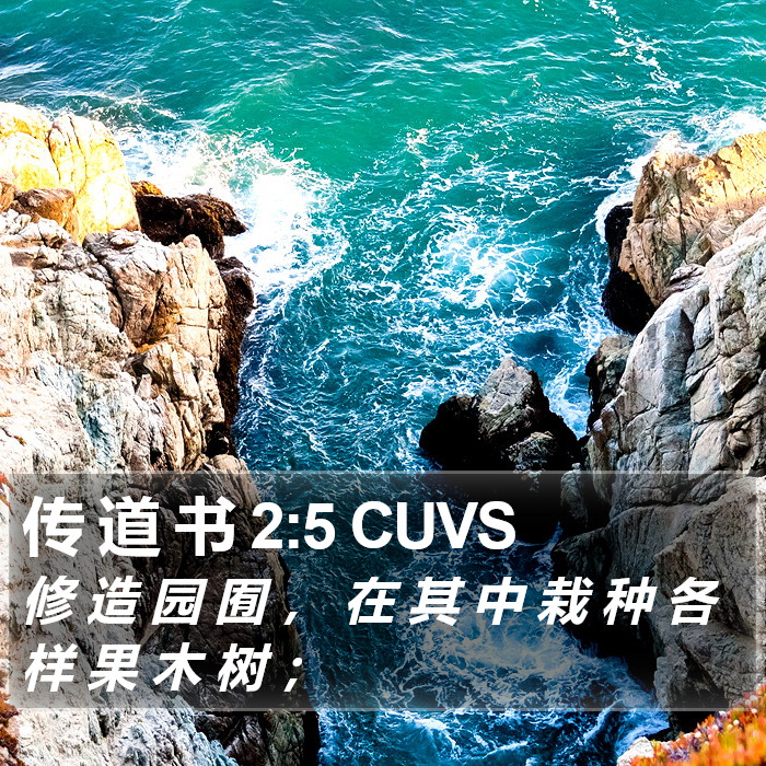 传 道 书 2:5 CUVS Bible Study