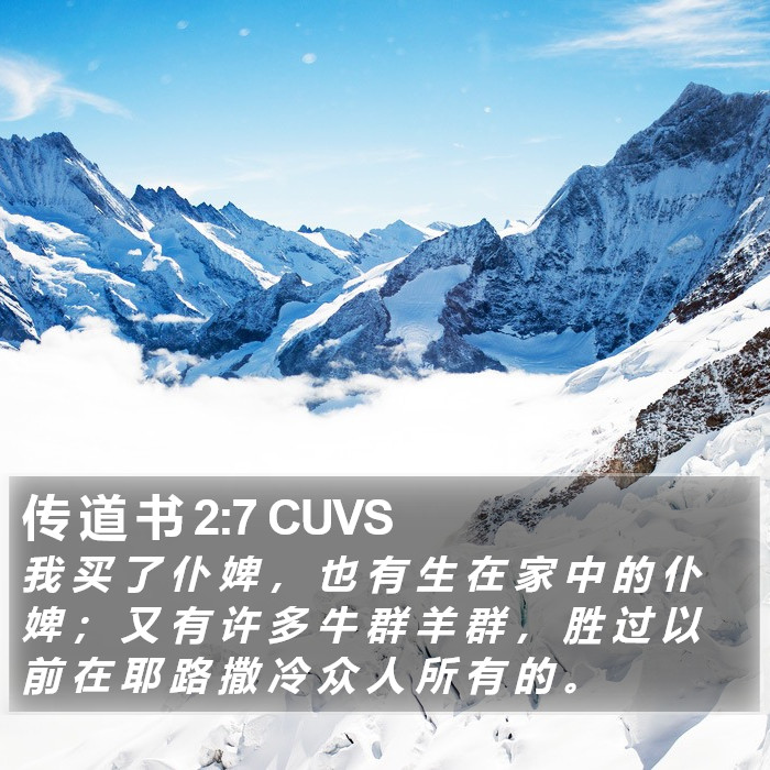 传 道 书 2:7 CUVS Bible Study