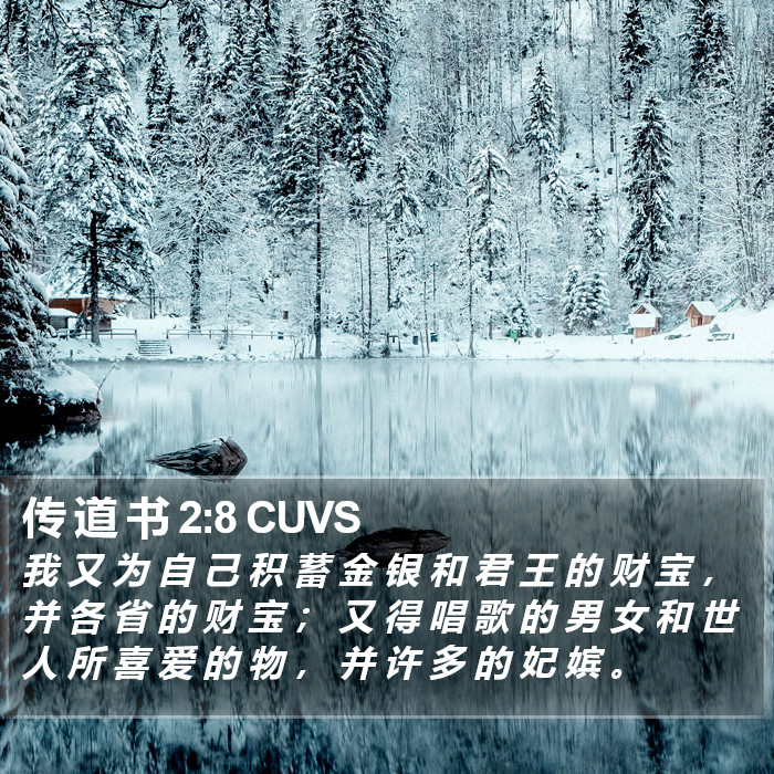 传 道 书 2:8 CUVS Bible Study