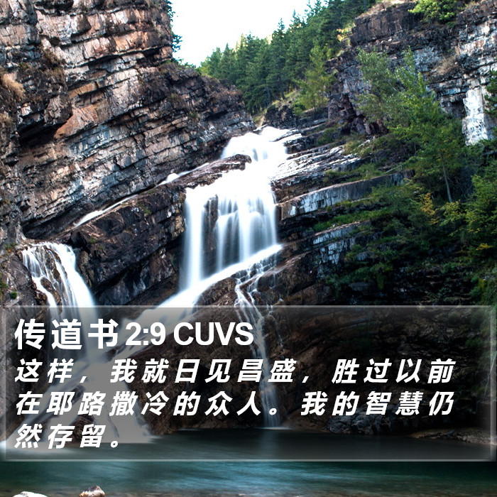 传 道 书 2:9 CUVS Bible Study