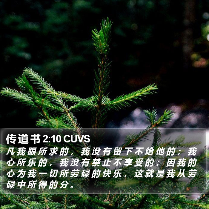 传 道 书 2:10 CUVS Bible Study