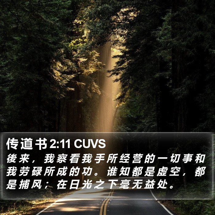 传 道 书 2:11 CUVS Bible Study