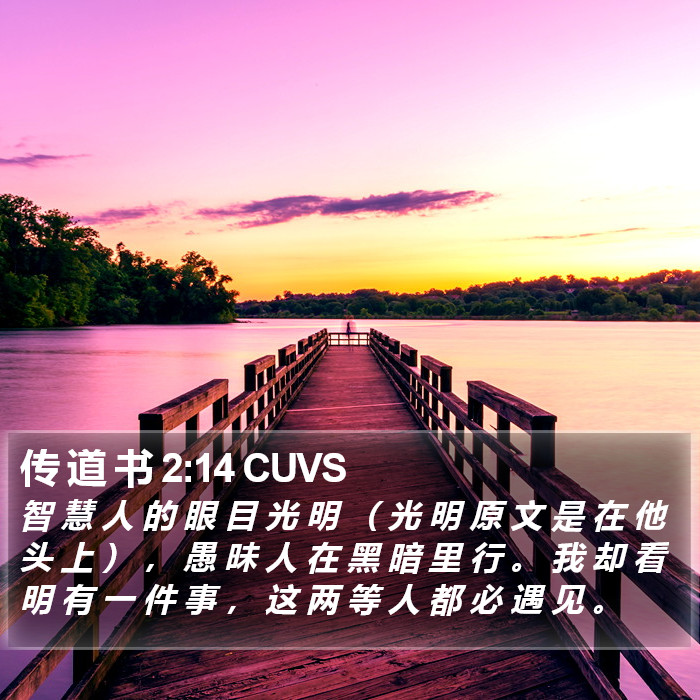 传 道 书 2:14 CUVS Bible Study