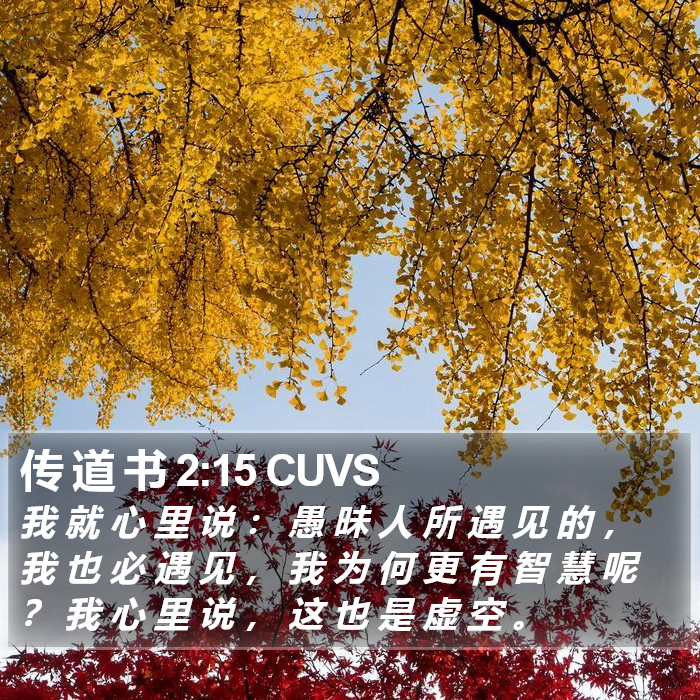 传 道 书 2:15 CUVS Bible Study