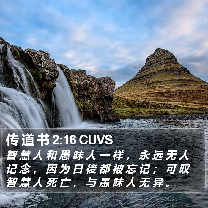 传 道 书 2:16 CUVS Bible Study