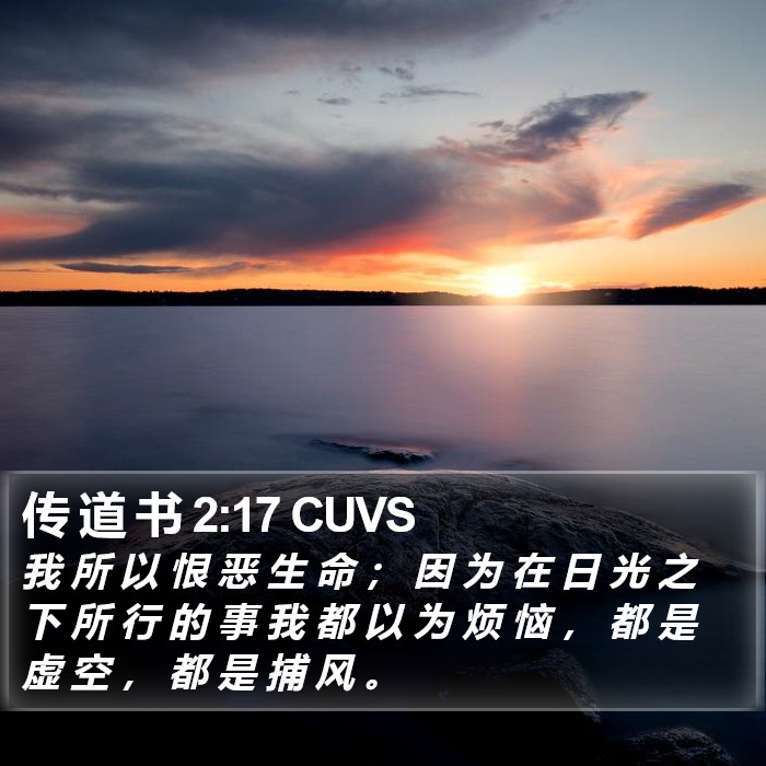 传 道 书 2:17 CUVS Bible Study