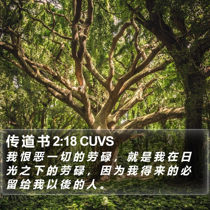 传 道 书 2:18 CUVS Bible Study