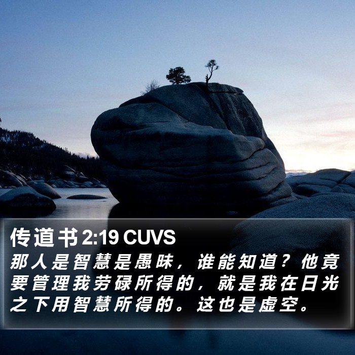 传 道 书 2:19 CUVS Bible Study