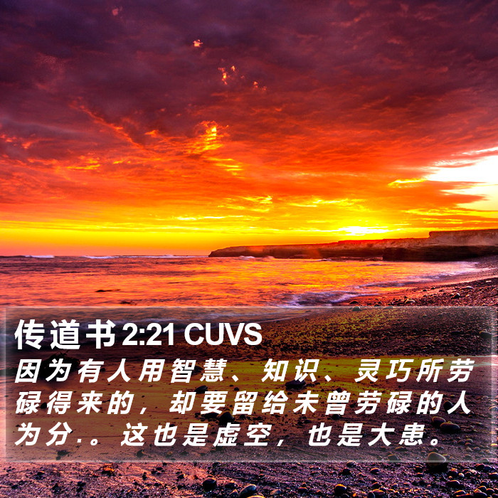 传 道 书 2:21 CUVS Bible Study