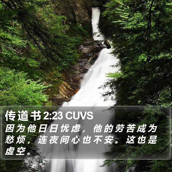 传 道 书 2:23 CUVS Bible Study