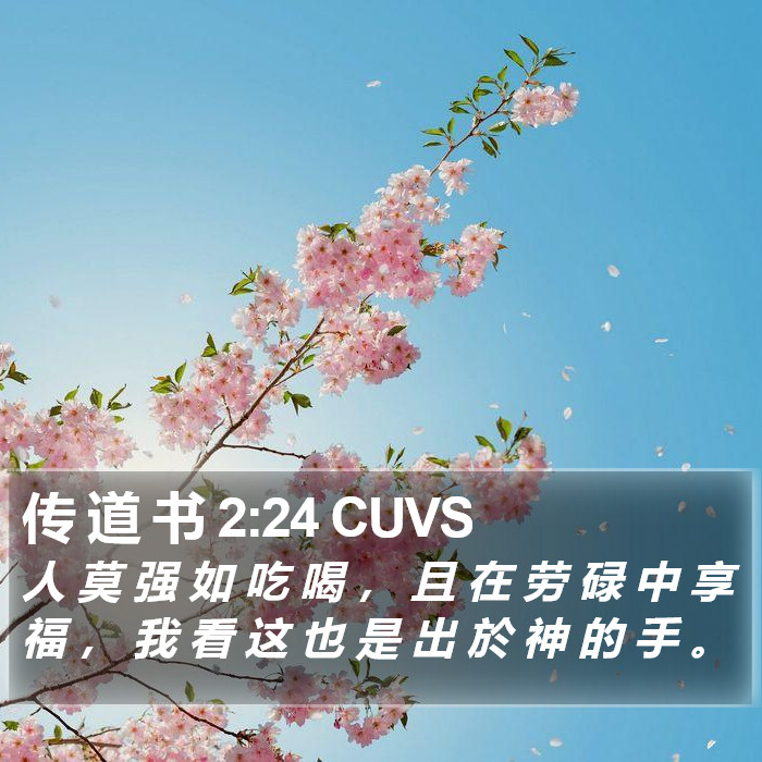 传 道 书 2:24 CUVS Bible Study