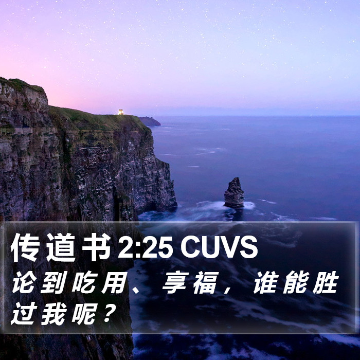 传 道 书 2:25 CUVS Bible Study