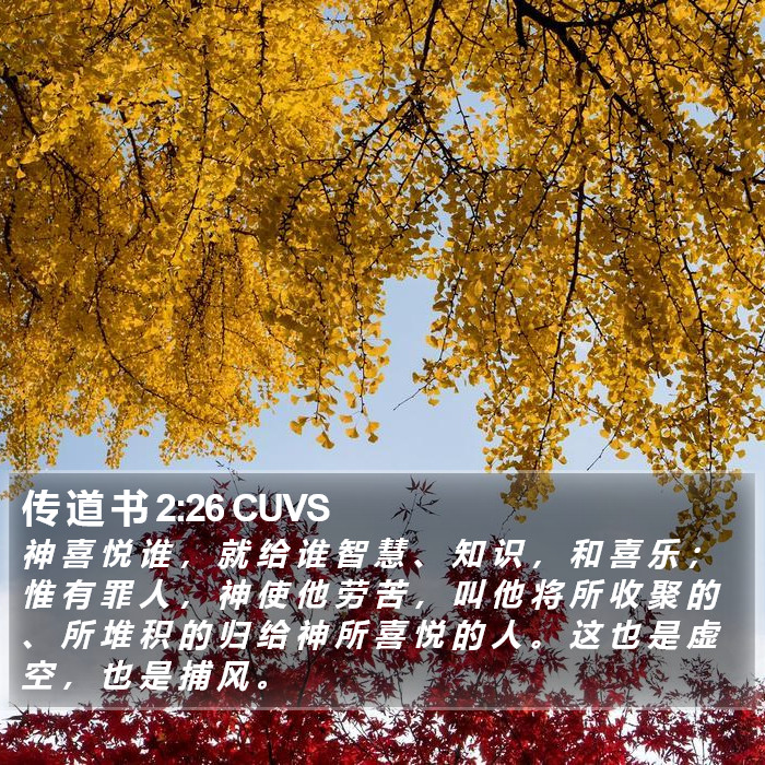 传 道 书 2:26 CUVS Bible Study