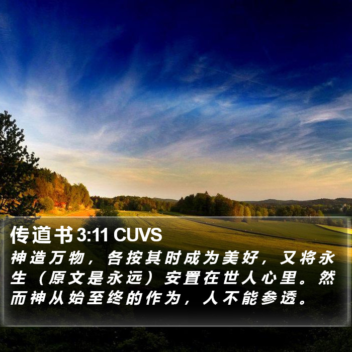 传 道 书 3:11 CUVS Bible Study