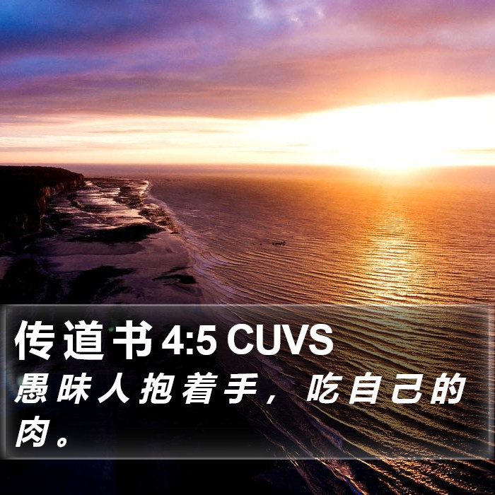 传 道 书 4:5 CUVS Bible Study