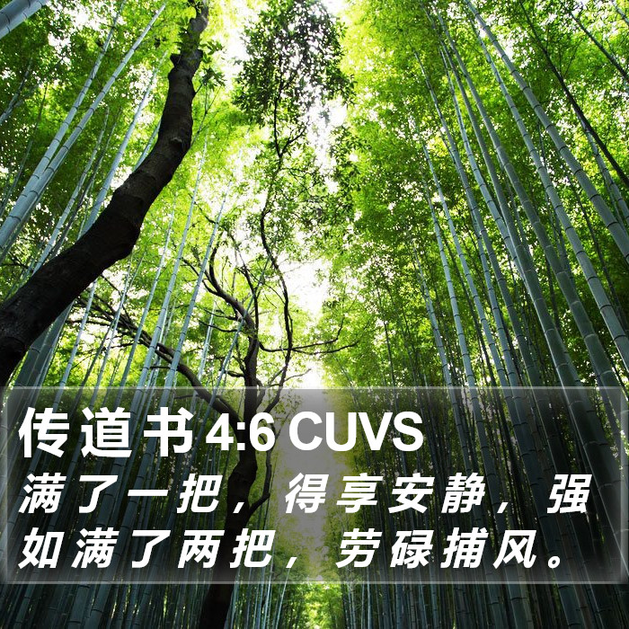 传 道 书 4:6 CUVS Bible Study