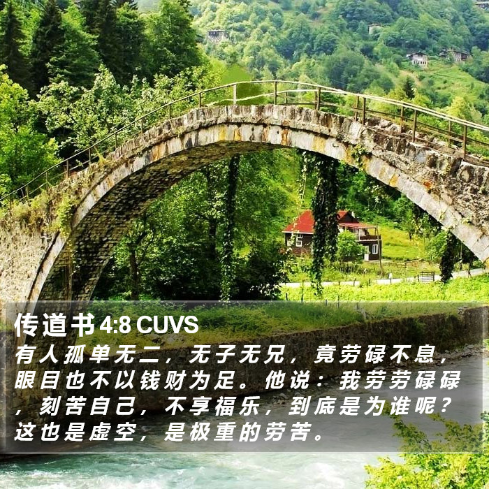 传 道 书 4:8 CUVS Bible Study