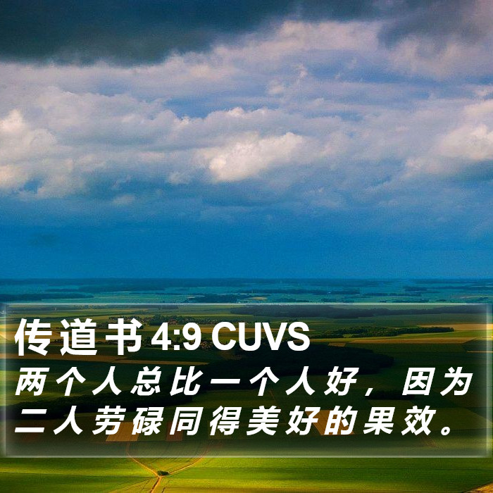 传 道 书 4:9 CUVS Bible Study