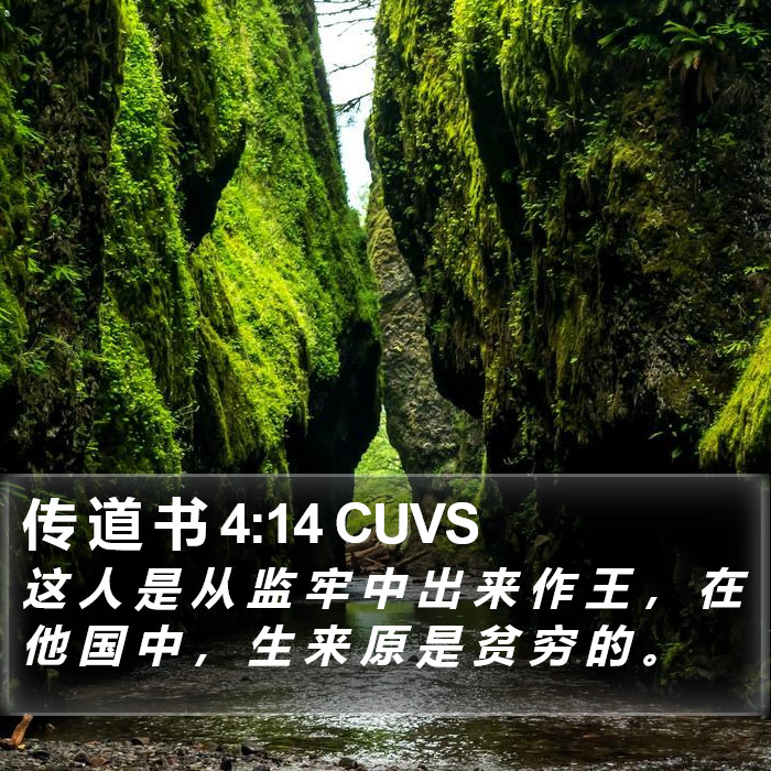 传 道 书 4:14 CUVS Bible Study