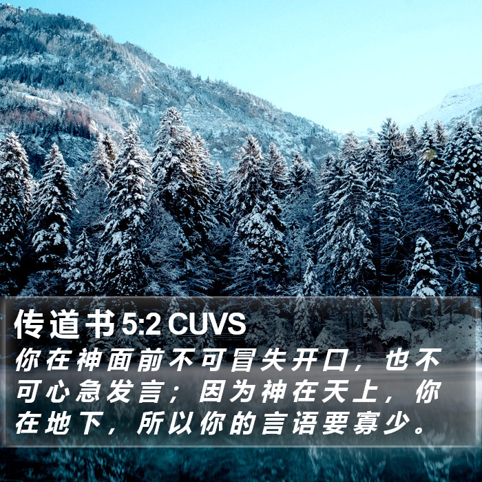 传 道 书 5:2 CUVS Bible Study