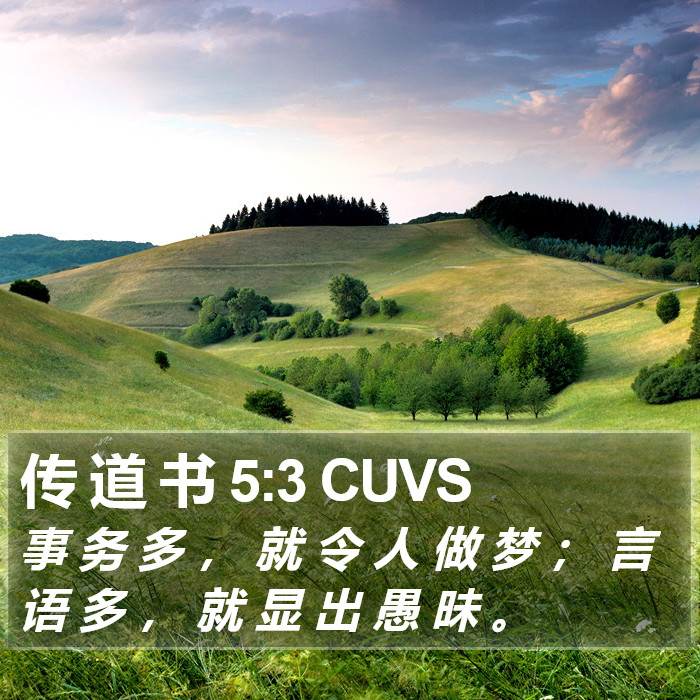 传 道 书 5:3 CUVS Bible Study