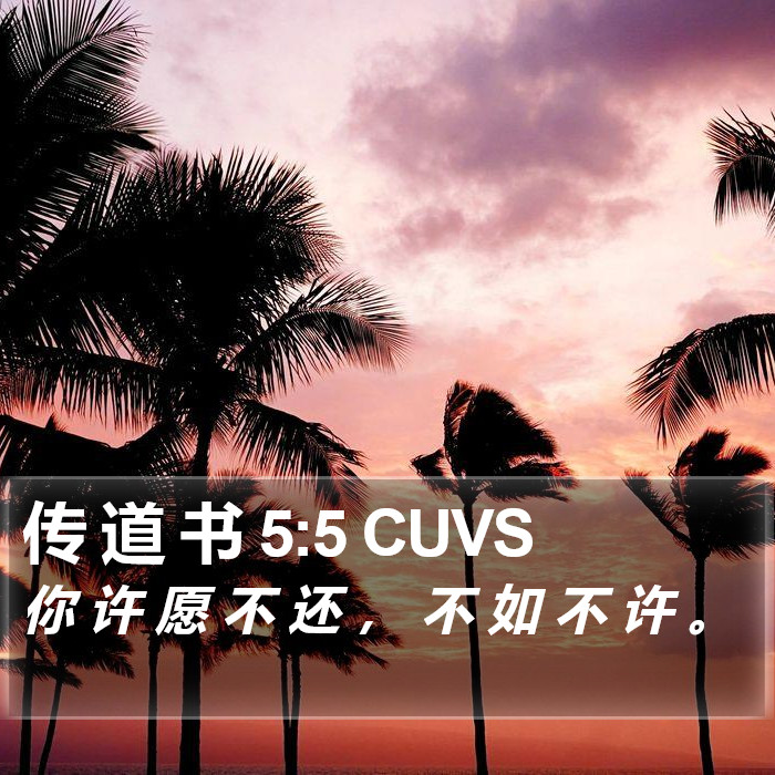 传 道 书 5:5 CUVS Bible Study