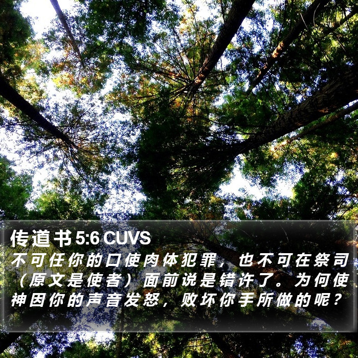 传 道 书 5:6 CUVS Bible Study